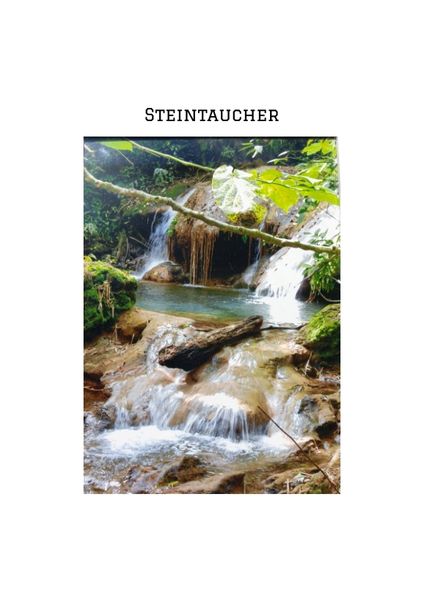 Cover von „STEINTAUCHER“ Liebesdurstige Beobachtungen eines in die Jahre gekommenen Mannes. Gerade so,als hätte da jemand noch einmal seine Träume an das Firmament gehangen