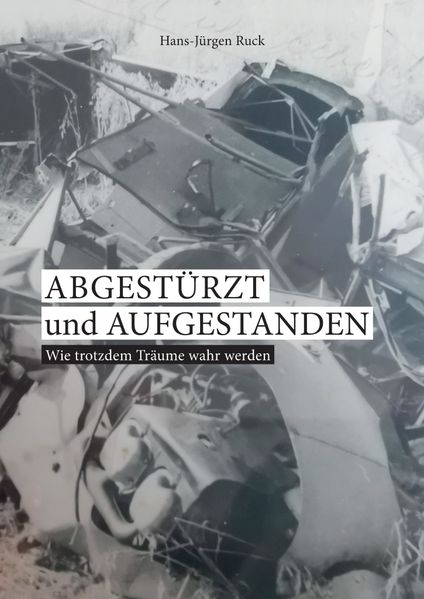 Cover von Abgestürzt und aufgestanden