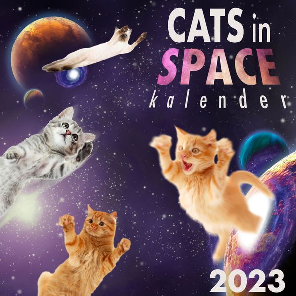 Cover von Cats in Space Kalender 2023