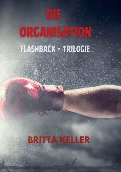 Cover von Die Organisation-Flashback-Trilogie