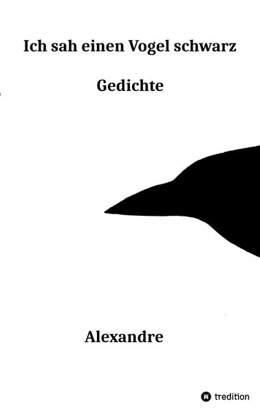 Cover von Ich sah einen Vogel schwarz
