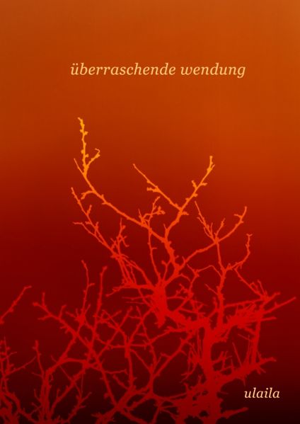Cover von überraschende wendung