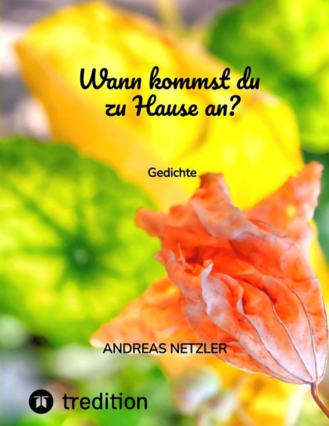 Cover von Wann kommst du zu Hause an?