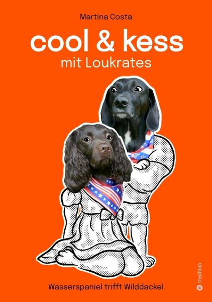 Cover von Cool und kess mit Loukrates