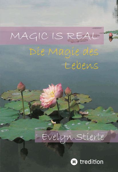 Cover von Magic is real