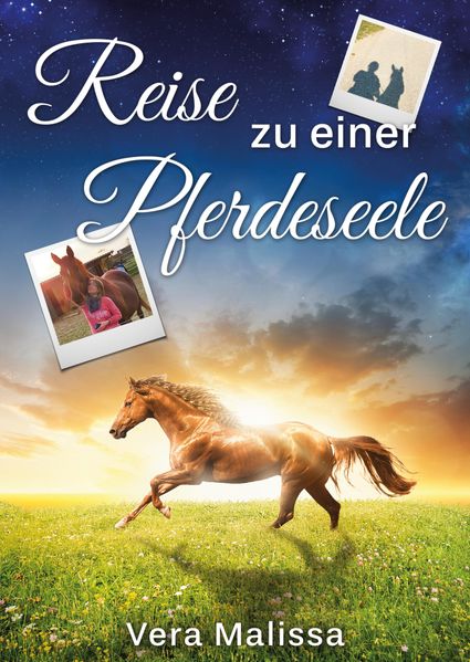 Cover von Reise zu einer Pferdeseele