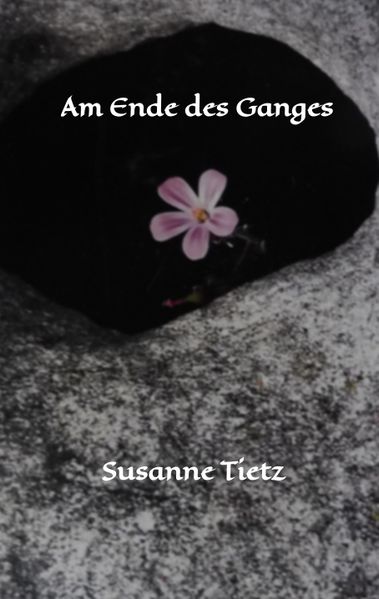 Cover von Am Ende des Ganges