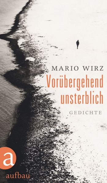Cover von Vorübergehend unsterblich