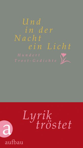Cover von Und in der Nacht ein Licht