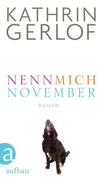 Cover von Nenn mich November