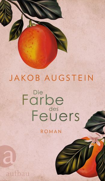 Cover von Die Farbe des Feuers