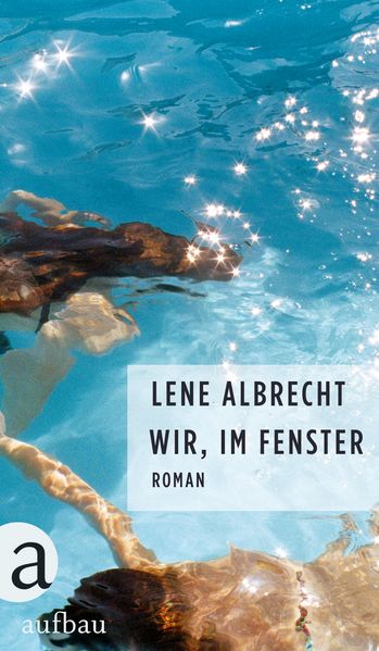 Cover von Wir, im Fenster