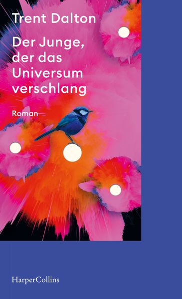 Cover von Der Junge, der das Universum verschlang