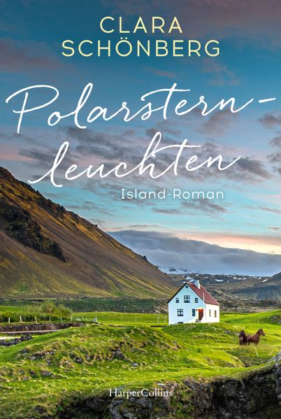 Cover von Polarsternleuchten