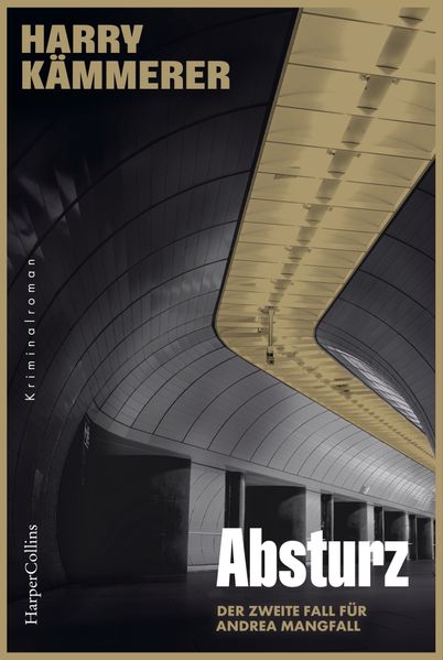Cover von Absturz