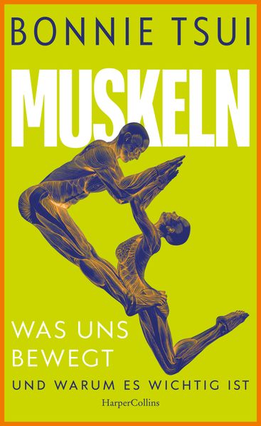 Cover von Muskeln. Was uns bewegt – und warum es wichtig ist