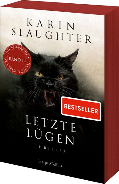 Cover von Letzte Lügen
