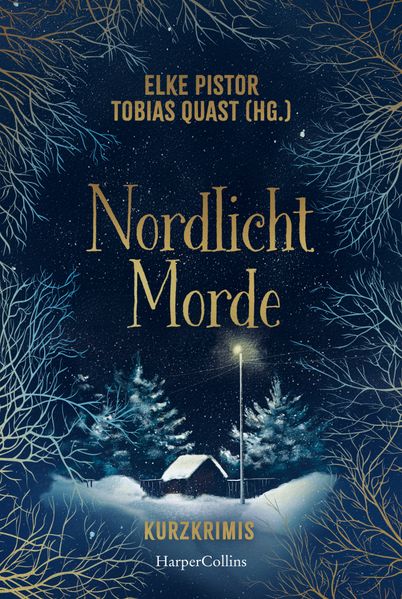 Cover von Nordlichtmorde. 20 Kurzkrimis