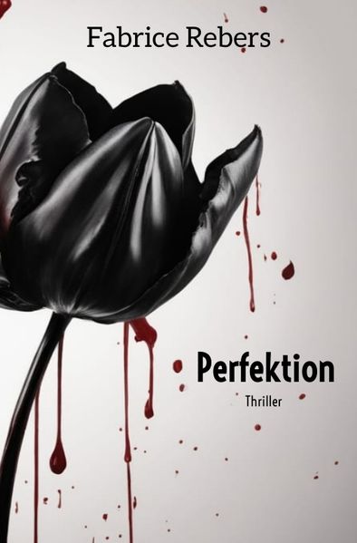 Cover von Perfektion