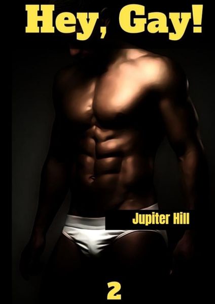 Cover von Hey Gay! 2
