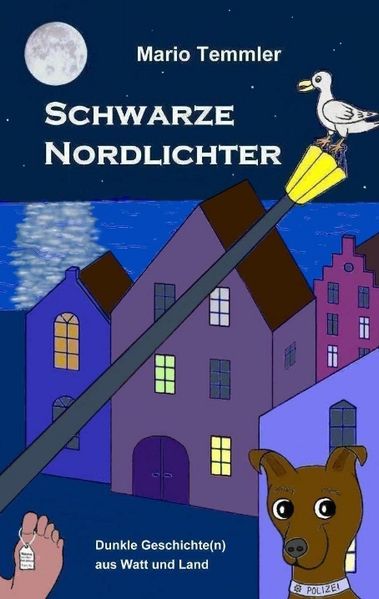 Cover von Schwarze Nordlichter