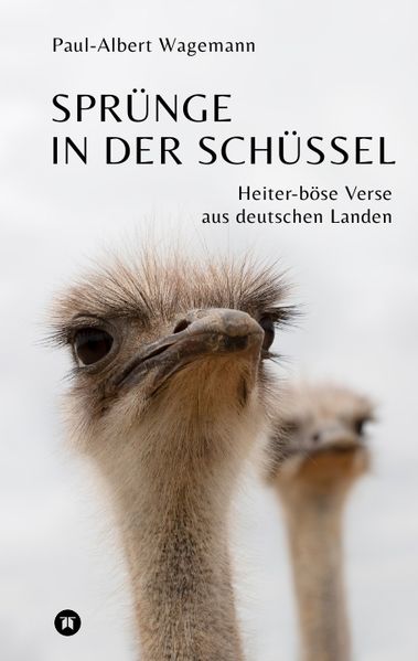 Cover von Sprünge in der Schüssel – 148 zeitgeistkritische Gedichte im Stil von Limericks