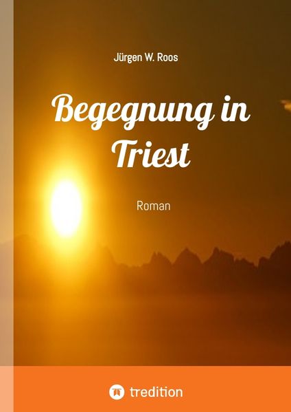 Cover von Begegnung in Triest – Ein spannender Politthriller