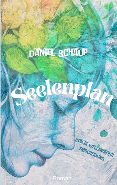 Cover von Seelenplan
