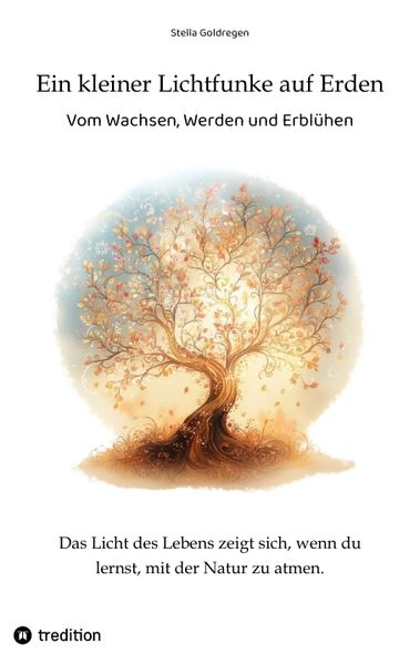 Cover von Ein kleiner Lichtfunke auf Erden
