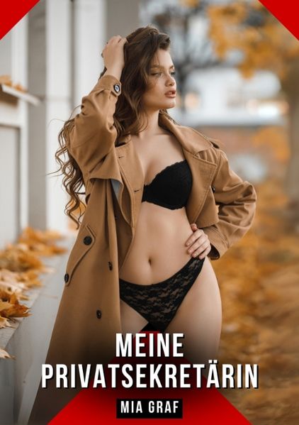 Cover von Meine Privatsekretärin