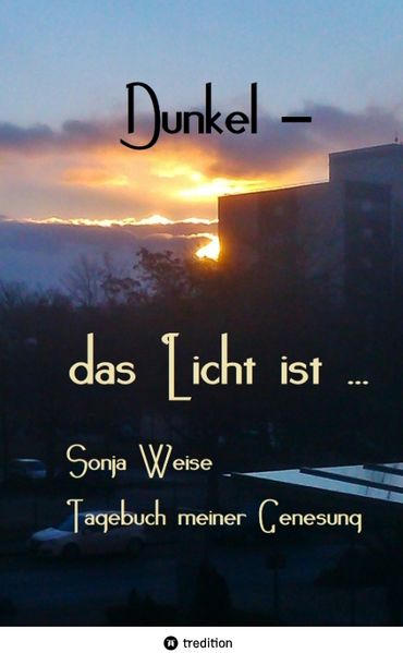 Cover von Dunkel – das Licht ist