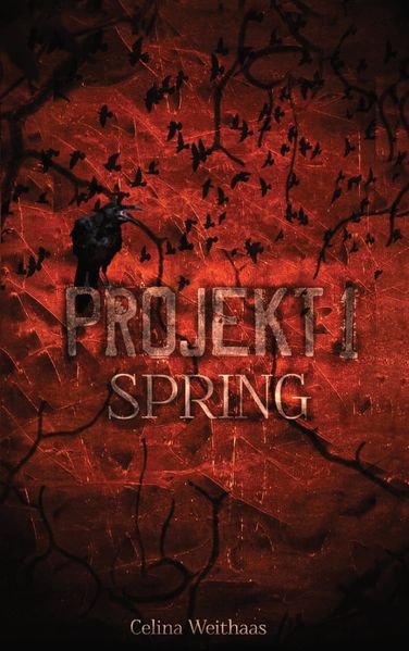Cover von Spring – Projekt I