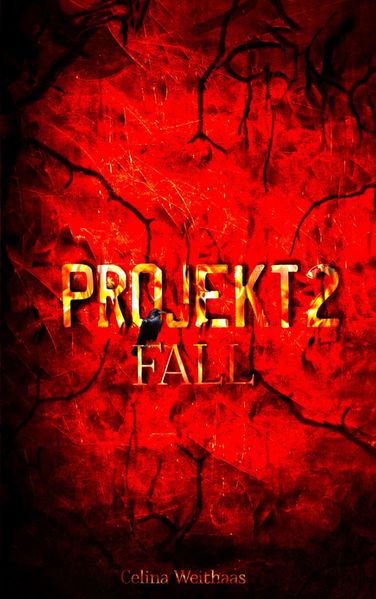 Cover von Fall – Projekt II