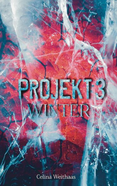 Cover von Winter – Projekt III