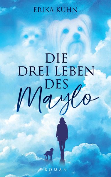 Cover von Die drei Leben des Maylo