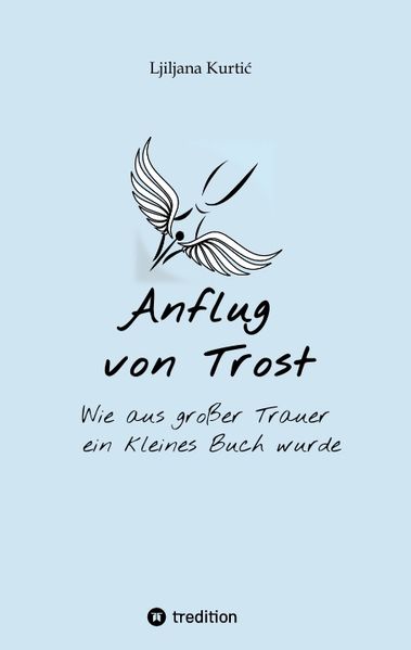 Cover von Anflug von Trost