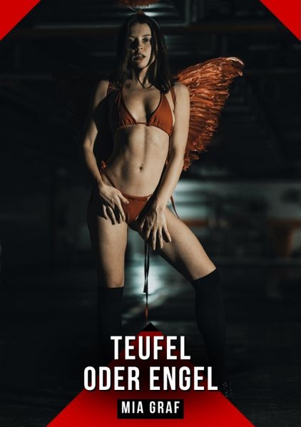 Cover von Teufel oder Engel