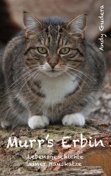Cover von Murr’s Erbin