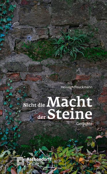 Cover von Nicht die Macht der Steine