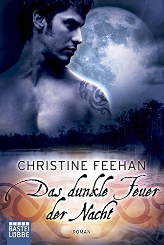 Cover von Das dunkle Feuer der Nacht