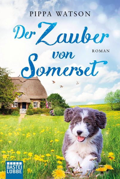 Cover von Der Zauber von Somerset