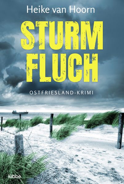 Cover von Sturmfluch