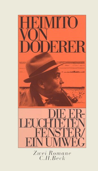 Cover von Die erleuchteten Fenster oder die Menschwerdung des Amtsrates Julius Zihal. Ein Umweg