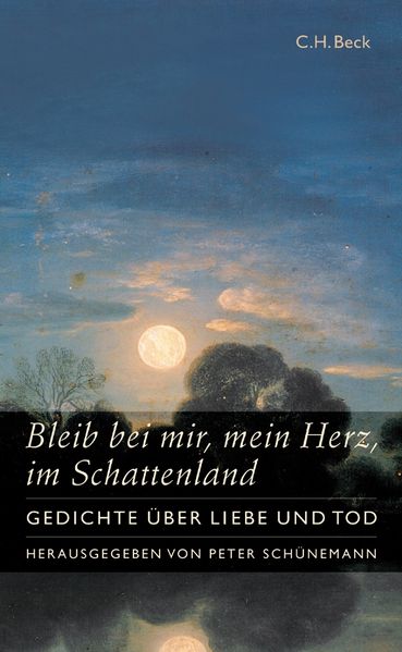 Cover von Bleib bei mir, mein Herz, im Schattenland