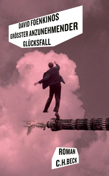 Cover von Größter anzunehmender Glücksfall