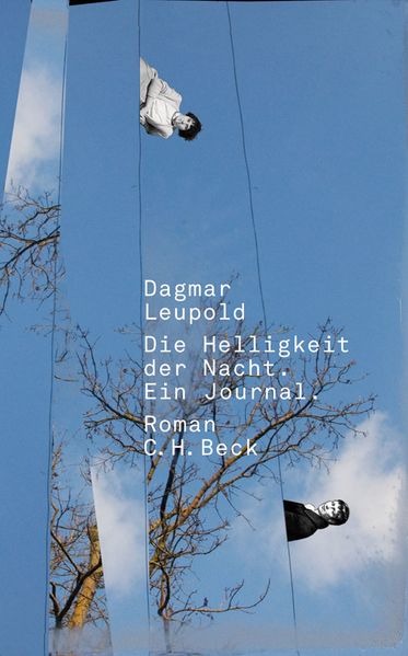 Cover von Die Helligkeit der Nacht