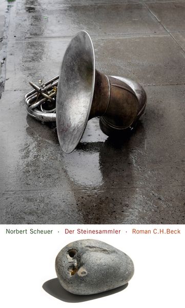 Cover von Der Steinesammler
