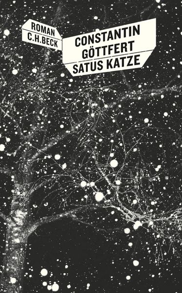 Cover von Satus Katze