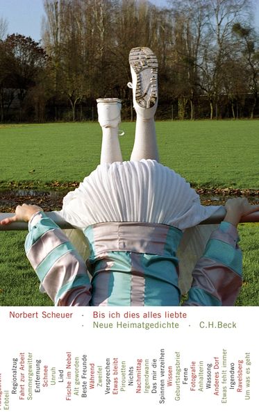 Cover von Bis ich dies alles liebte