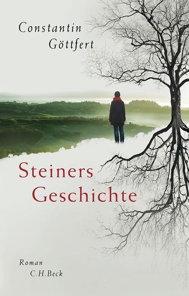 Cover von Steiners Geschichte